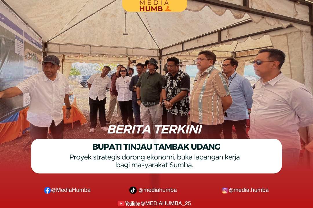 Bupati Sumba Timur Meninjau Langsung Perkembangan  Pembangunan Tahap Awal Tambak Udang di Desa Palakahembi, Kecamatan Pandawai.